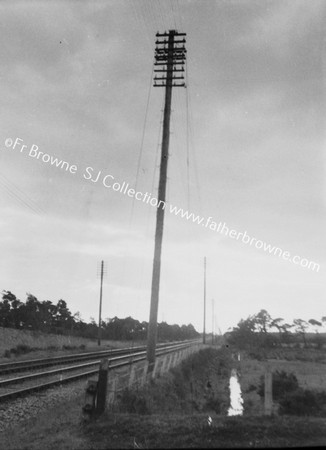 TELEGRAPH POLES